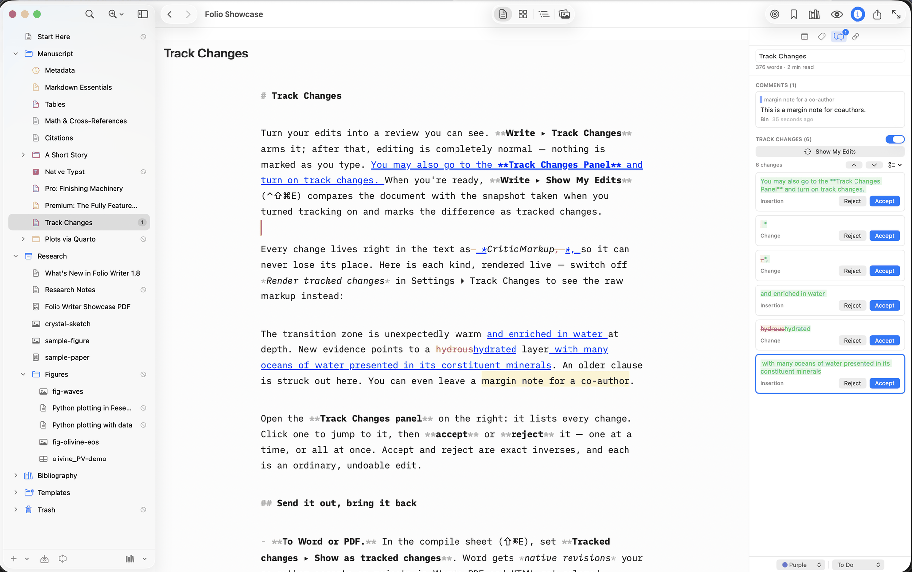 Tracked changes rendered in the editor beside the Track Changes panel, with a margin comment for a co-author.